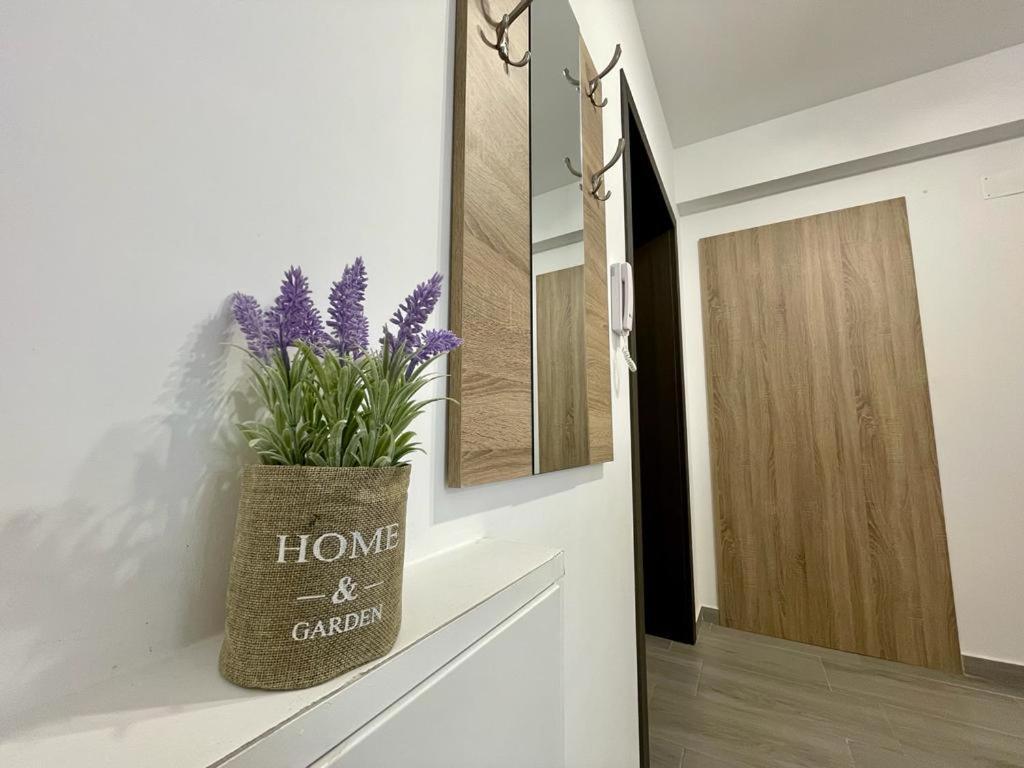 Belvedere Apartments 부쿠레슈티 외부 사진
