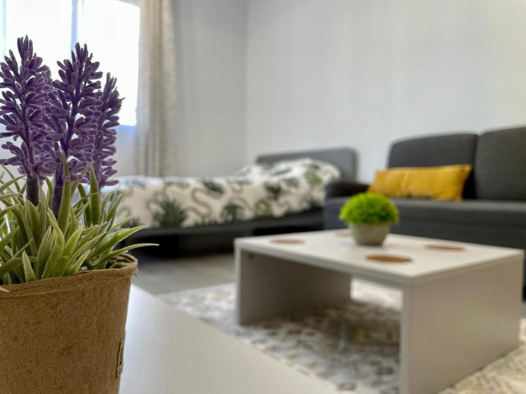 Belvedere Apartments 부쿠레슈티 외부 사진